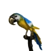 Bronze Macaw On A Tree Branch