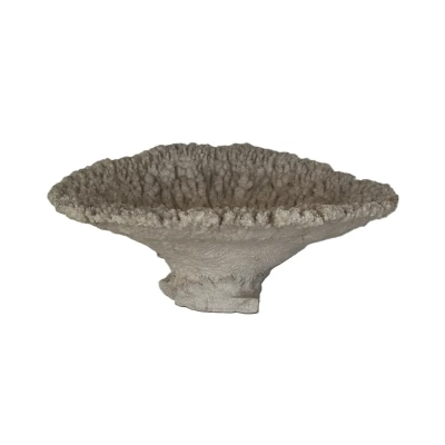 Vintage Table Coral - Acropora Hyacinthus